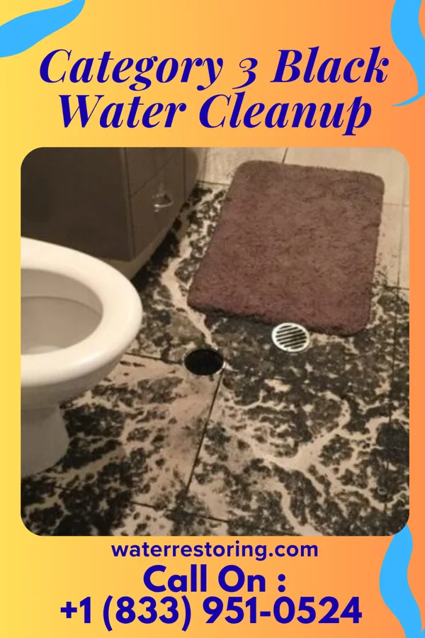 Category 3 Black Water Cleanup in Standard, IL