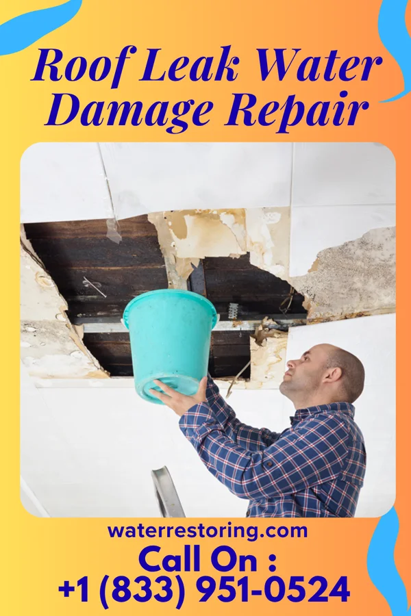 Roof Leak Water Damage Repair in Standard, IL