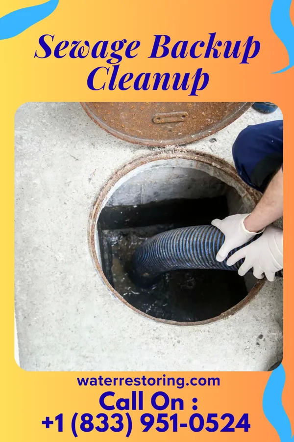 Sewage Backup Cleanup in Standard, IL