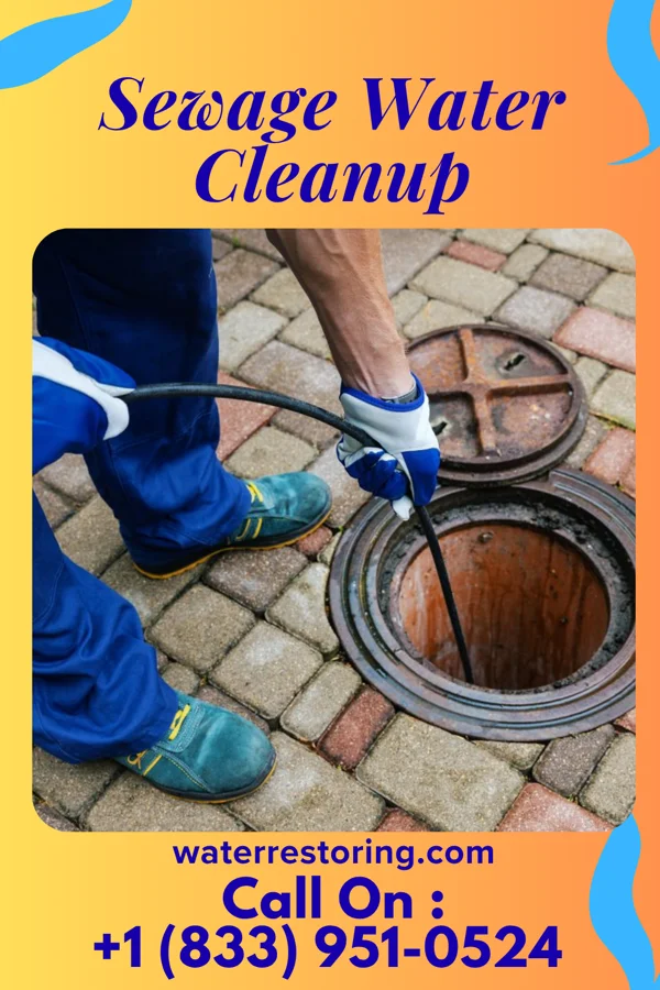 Sewage Water Cleanup in Standard, IL
